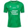 Saint-Etienne Home Nogometna majica 23/24